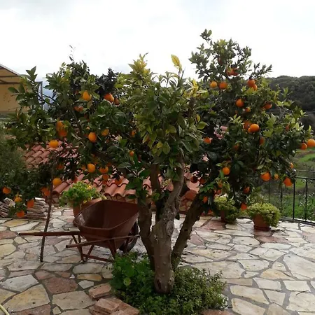 Magda Villa